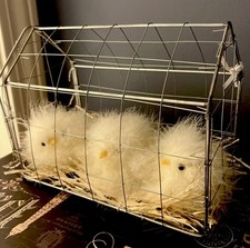 Farmhouse style fluffy for sale  Brunswick