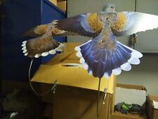 Set pigeon decoy d'occasion  Expédié en Belgium