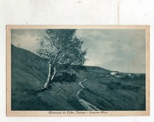 C001665 dintorni erba usato  Merate