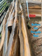 Pergola bau antike gebraucht kaufen  Lemgo