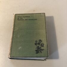 Vintage 1948 wildflowers for sale  HAWICK