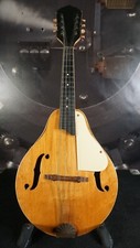 Vintage kay mandolin for sale  Huntington