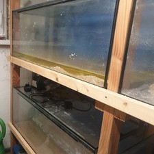Aquarienhälterungs anlage gebraucht kaufen  Lachendorf