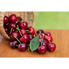 Ft. lapins cherry for sale  Tacoma