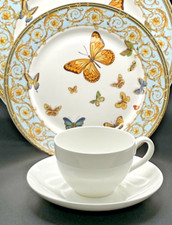 Rar villeroy boch gebraucht kaufen  Deutschland