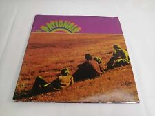 The Rationals Self-Titled Silver Edition Double LP Vinyl Record (1969) 12" Rock comprar usado  Enviando para Brazil
