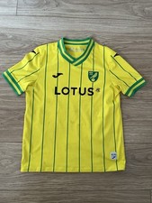 Norwich city 2022 for sale  LOWESTOFT