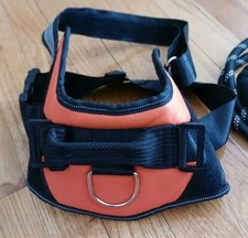Pull dog pet for sale  Chicopee