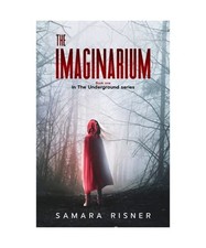 The imaginarium book gebraucht kaufen  Trebbin