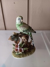 Parakeet andrea sadek for sale  Shreveport