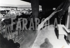 Vintage agricoltura allevament usato  Roma