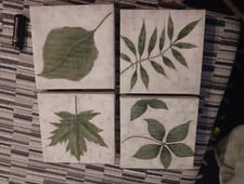 Botanical wall art for sale  Irwin