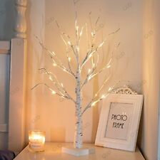 Led twig birch for sale  DUNSTABLE
