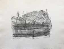 Gerhard altenbourg lithographi gebraucht kaufen  Solingen