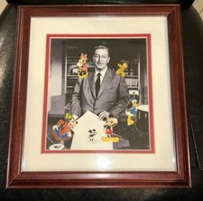 Disney pin framed for sale  Windermere