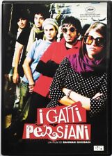 Dvd gatti persiani usato  Verdellino