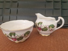 Dorchester finest bone for sale  LINCOLN