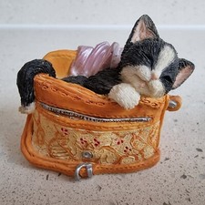 Black white cat for sale  BILLERICAY