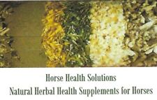Herbs horses ponies for sale  KIDDERMINSTER