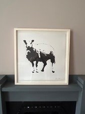 Blek rat sheep for sale  GLASGOW