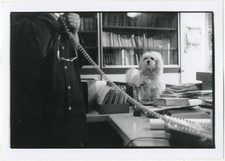 Photo argentique bureau d'occasion  France