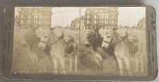 Stereoview blackpool. palatine for sale  LEEK