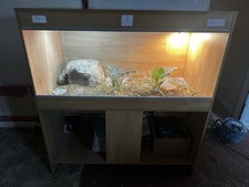 Bearded dragon vivarium for sale  LUDLOW