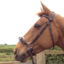 Orbitless bitless bridle for sale Orbitless bitless bridle for sale  MABLETHORPE