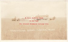 MT, Lavina, Montana, RPPC, cena agrícola, colheita de trigo? comprar usado MT, Lavina, Montana, RPPC, cena agrícola, colheita de trigo? comprar usado  Enviando para Brazil