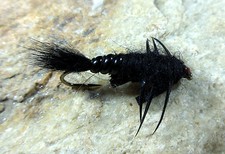 Creepers stonefly col gebraucht kaufen  Grönenbach