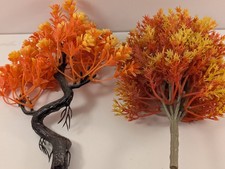 Gauge maple trees for sale Gauge maple trees for sale  COALVILLE