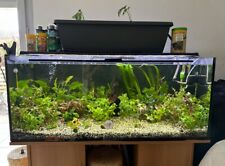 Aquarium d'occasion  Toulouse-