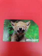 Schede telefoniche animali usato  Montecalvo Irpino