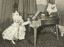 Vintage photograph dressed d'occasion  Expédié en Belgium