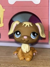 Petshop chien golden d'occasion  Bully-les-Mines