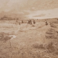 Skar suk fotografie gebraucht kaufen Skar suk fotografie gebraucht kaufen  Berlin