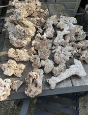 Marine fish reef for sale  HARLOW