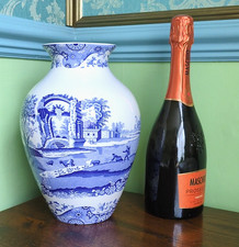 Large spode italian for sale  BRIDLINGTON