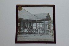 Indian pole climber for sale Indian pole climber for sale  SOUTH MOLTON