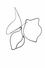 Plakat 20x30cm Kreśla 2 Minimalistyczny , Wnętrza Styl Skandynawski, Boho na sprzedaż  PL