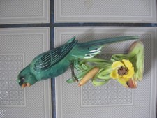 4 parakeets for sale 4 parakeets for sale Esko