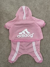 Adidog pet dog for sale  MARKET HARBOROUGH