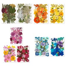 Fiori secchi fai usato  Spedire a Italy