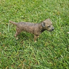 border terrier dog for sale border terrier dog for sale BRADFORD