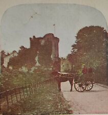 Ross castle killarney for sale  Brainerd