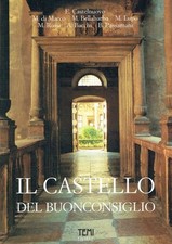 Castelnuovo enrico hrsg gebraucht kaufen  Kassel
