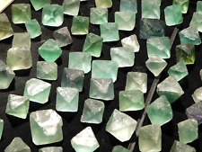One pound 500 for sale  Salt Lake City