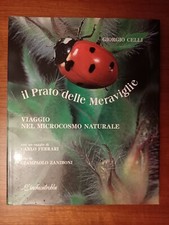Giorgio celli prato usato  Bologna