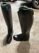 Mountain horse black for sale  Killingworth
