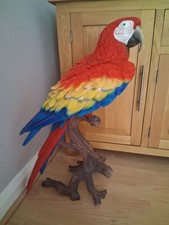 macaw parrot for sale macaw parrot for sale CHELMSFORD